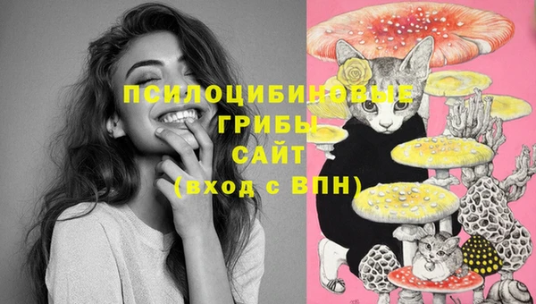 соль ск Белоозёрский